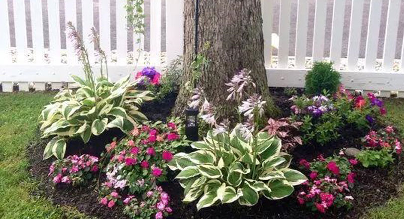 Executive Consulting