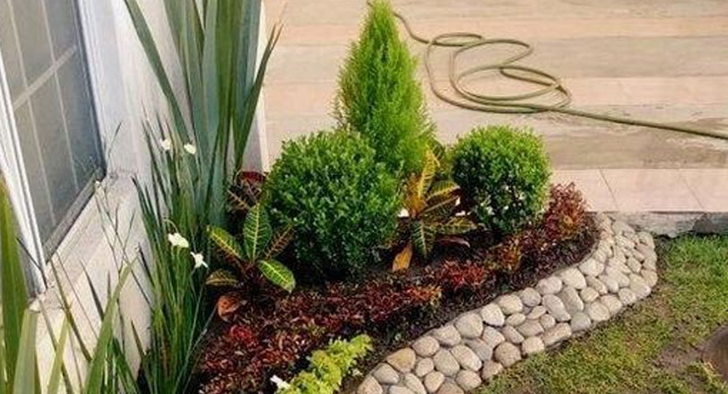 Executive Consulting